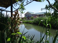 "Золотая рыбка" гостевой дом в Черноморском, ул. Луговая