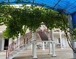 "Византийский двор" гостевой дом в Николаевке фото 2