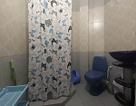 "Lion House" гостевой дом в Саки фото 19