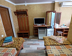 "Lion House" гостевой дом в Саки фото 4