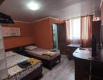 "Lion House" гостевой дом в Саки фото 12