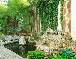 "Ботаник" гостевой дом в Феодосии фото 20