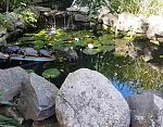 "Фонтан" частный сектор в Коктебеле фото 7