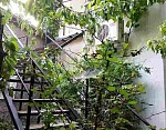 "Фонтан" частный сектор в Коктебеле фото 40