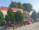 "Афина" мини-гостиница в Николаевке фото 13