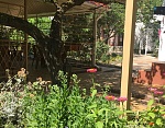 "Уютный дворик" гостевой дом в Саки фото 7