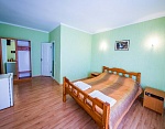 "Алтын" отель в Николаевке фото 24