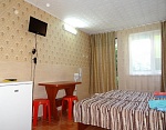 "Эльдорадо" гостевой дом в Николаевке фото 22