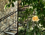 "Зелёная черепаха" гостевой дом в Орджоникидзе (Феодосия) фото 10
