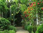 "Ботаник" гостевой дом в Феодосии фото 19