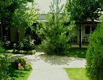"Эльва" гостевой дом в п. Оленевка (Черноморское) фото 19
