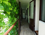 "Уютный дворик" частный сектор в Феодосии фото 10
