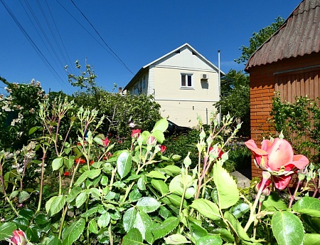 фото "Зелёная черепаха" гостевой дом в Орджоникидзе (Феодосия)