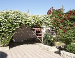 Частный дом "Долина Роз" в с. Оленевка (Черноморское) фото 3