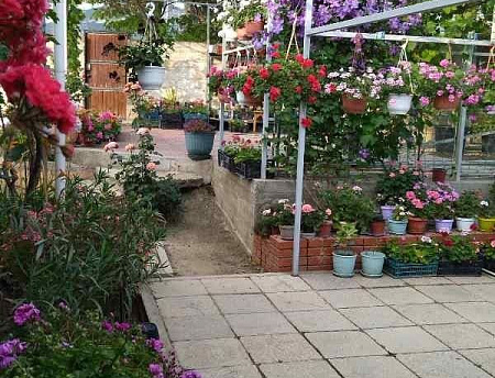 фото 2х-комнатный дом под-ключ Цветочная 22 в Судаке