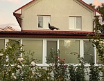 "Кипарис" гостевой дом в Новоотрадном (мыс Казантип) фото 4
