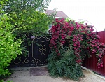 "Чайная роза" гостевой дом в Севастополе фото 4