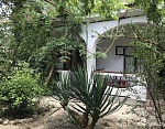 "Роза Пикуба" мини-гостиница в с. Солнечногорское (Алушта) фото 5