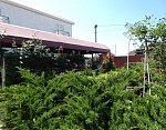 "Зеленый дворик" частный сектор в Саки фото 6