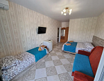 "Семейный Отель Канария" мини-гостиница в Судаке фото 47