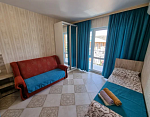 "Семейный Отель Канария" мини-гостиница в Судаке фото 46