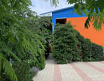 "Цветочек" мини-гостиница в п. Николаевка фото 10