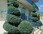 "Вилла Аркадия" гостиница в с. Солнечногорское (Алушта) фото 4
