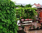 "Чайная роза" гостевой дом в Севастополе фото 12