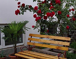 "В розах" гостевой дом в Феодосии фото 6