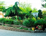 "Ботаник" гостевой дом в Феодосии фото 16