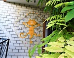 "Солнечный кот" гостевой дом в п. Малореченское (Алушта) фото 10