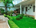 "Ботаник" гостевой дом в Феодосии фото 7